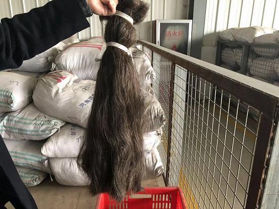 一把价格不菲的头发。图片拍摄:刘雨静
