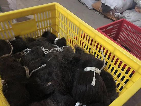 从印度收来的人发原材料。图片拍摄:刘雨静