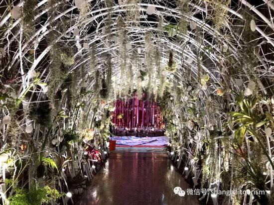 五一假期游上海 70多项精彩文旅活动全指南