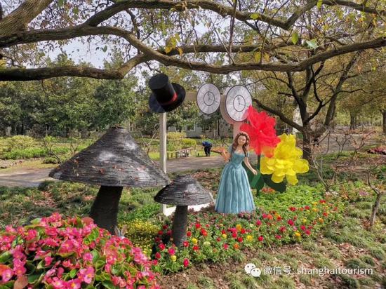 五一假期游上海 70多项精彩文旅活动全指南