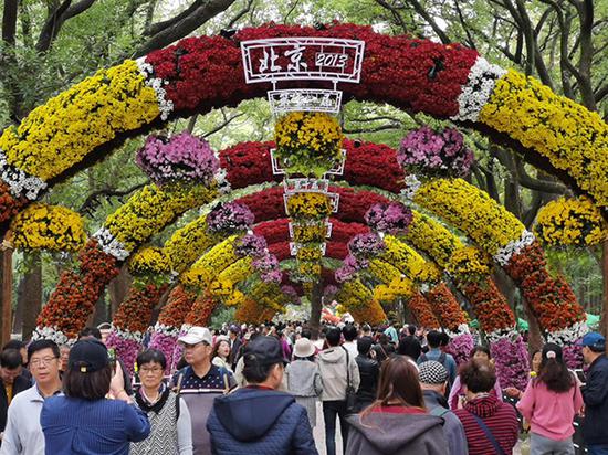 第十三届中国菊花展览会现场 本文图片均由上海共青森林公园提供
