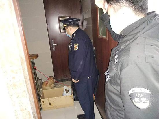 经居民举报,对楼道养鸡行为,上门处置。