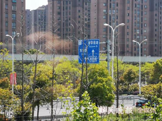 图说:一路之隔的地铁9号线 新民晚报记者 王军/摄