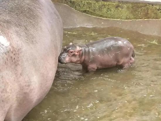 蹭蹭~~
