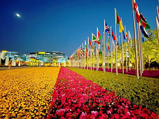 四叶草夜景 澎湃新闻记者 俞凯 图