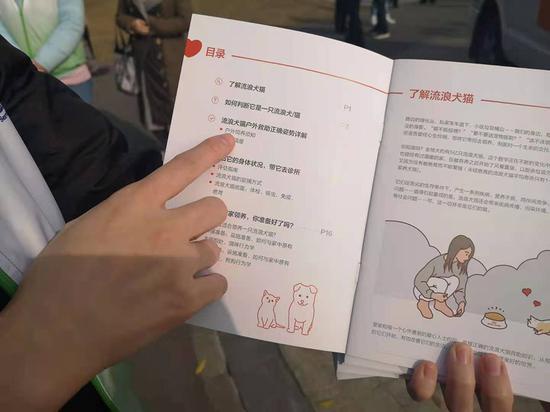 志愿者王芳介绍救助流浪犬猫知识