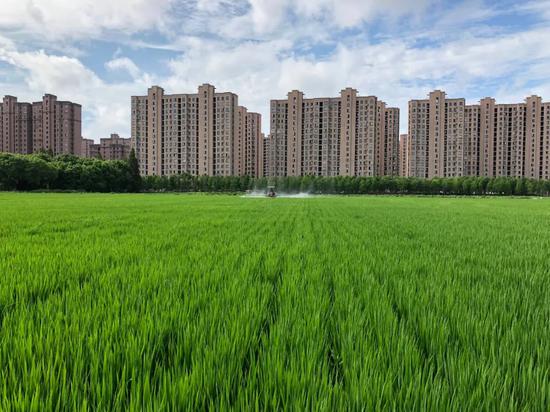 稻德合作社与联民村签订土地流转合同，发展适度规模经营