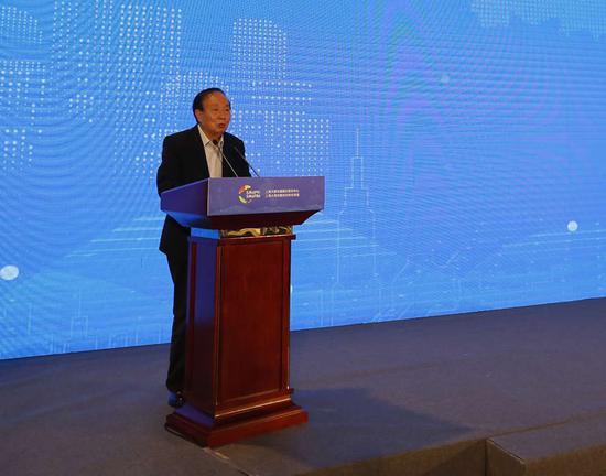 南京大学教授崔功豪发言 主办方供图