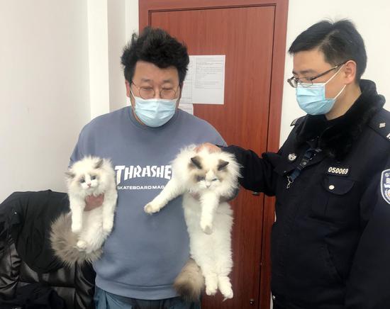左为品级更高的价值6万元的布偶猫,右为1万元布偶猫。图片来源松江公安