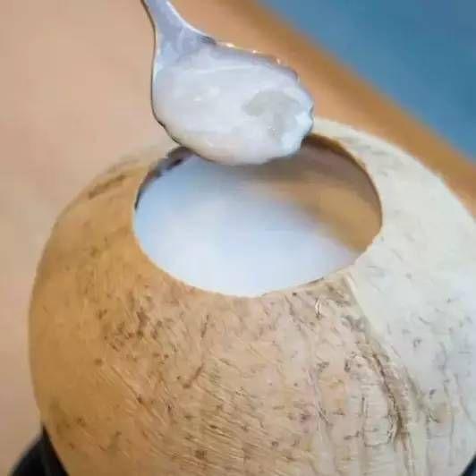 椰皇炖燕窝雪蛤膏