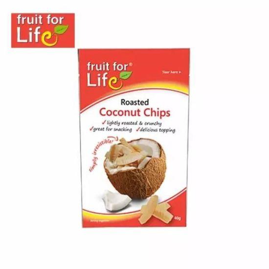 Fruit For Life椰子干