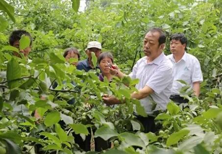 一个“农民教授”,为何感动了百万河北人 一个“农民教授”,为何感动了百万河北人