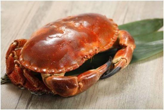 黄金蟹