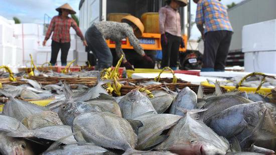 上海叫得响的老鱼市场:蝶变成东方渔人码头
