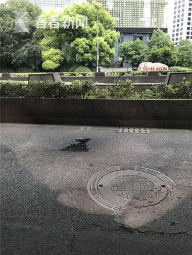 a43720ce5dba970fa2360e074580603e.jpg 这样一个当街撒尿的举止,真是奇葩了!不过,出租车司机一天到晚在外开车,哪里上厕所确实是一个难题。