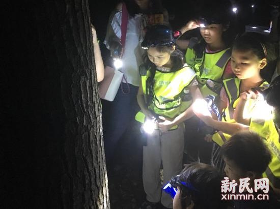 来源:金旻矣 摄影