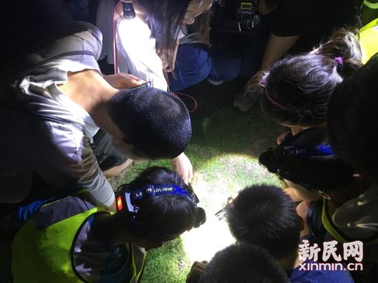 来源:金旻矣 摄影