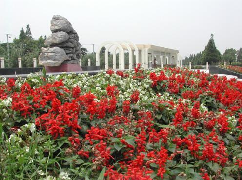 住建部公示第二批全国特色小镇 上海新场等6镇