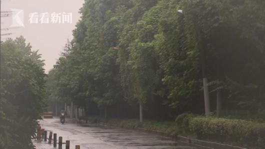 小区附近道路的路灯,直接关系到居民夜间出行的安全。希望有关部门急人所急,尽快采取措施,方便居民出行。