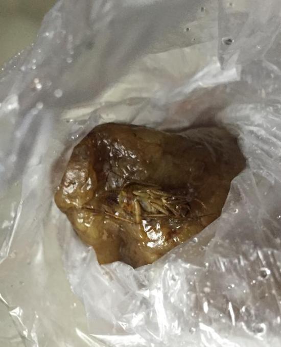 一只脚朝天的褐色蟑螂,半截裹在肉粽中。 本文图片均由罗小姐提供