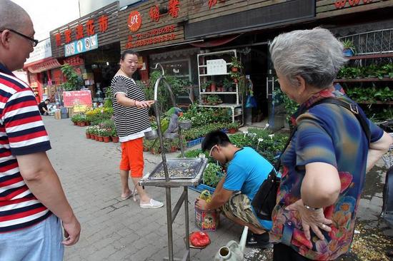 黄小姐家的鹦鹉吸引顾客。