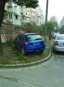 改造前机动车借靠在绿化道上 /晨报记者 胡 迎