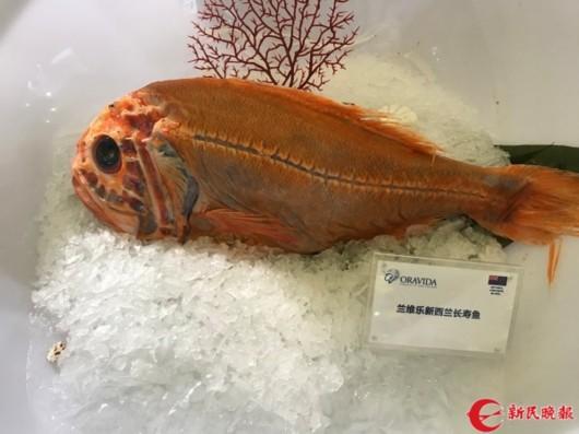 9L0m-fykcypq1706134.jpg