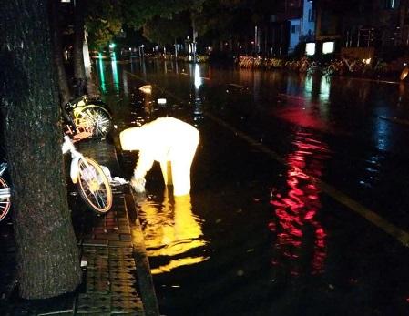 图说:排水工趟过积水深处掏出阻塞物