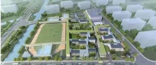 上海科技大学附属学校明年起招生 为张江提供