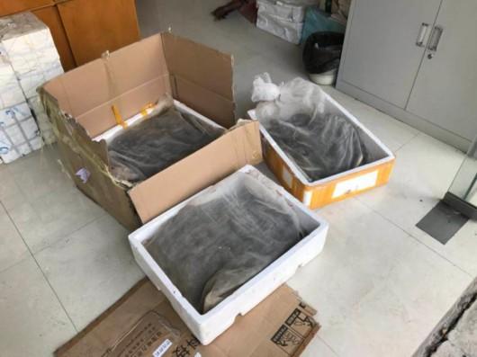 上海查获一辆客运大巴内藏百余条蛇 司机称系