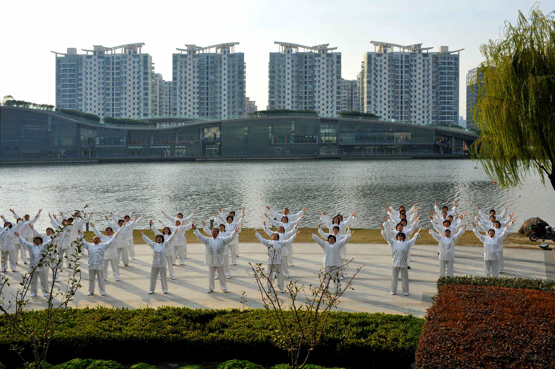 青浦多少人口_青浦地图
