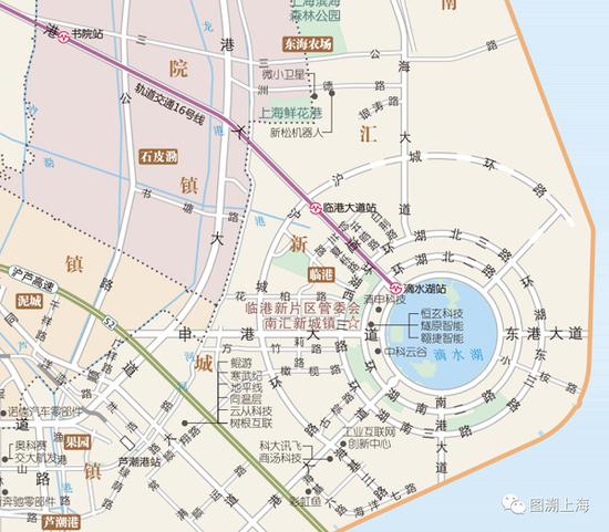 图说:自由贸易试验区临港新片区交通现状图