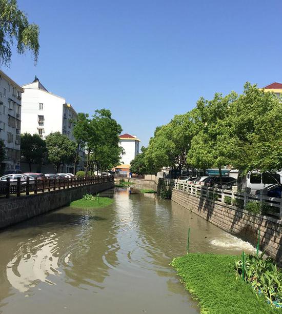 老小区花坛闲置、道路绿化单一怎么破?