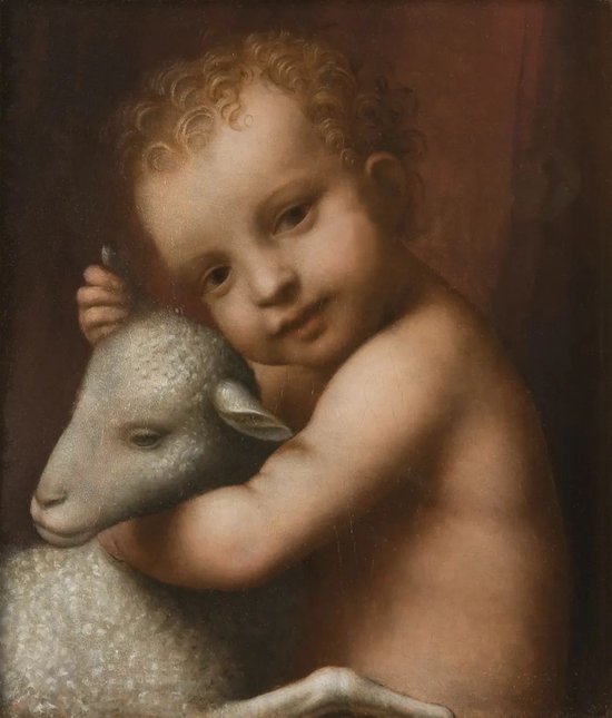 《男孩与羔羊》