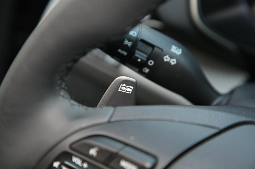 （菲斯塔纯电动能量回收拨片）