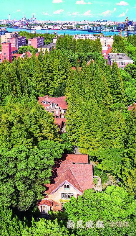 图为上海理工大学现存1906年至1948年间建造的各类建筑物40余幢,拥有上海高校中规模最大的市级优秀历史建筑群