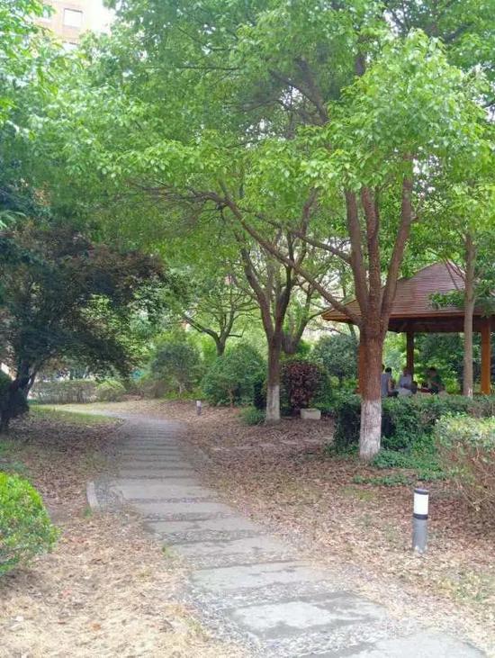凝心聚力筑文明,幸福追梦再出发