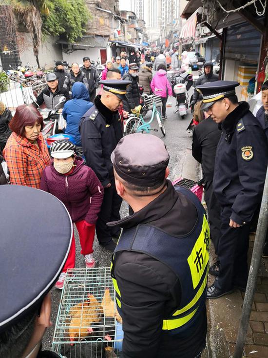 针对非法禽类售卖行为,各中队配合街道、镇开展联合整治行动。本文图片均由上海市城管执法局 提供