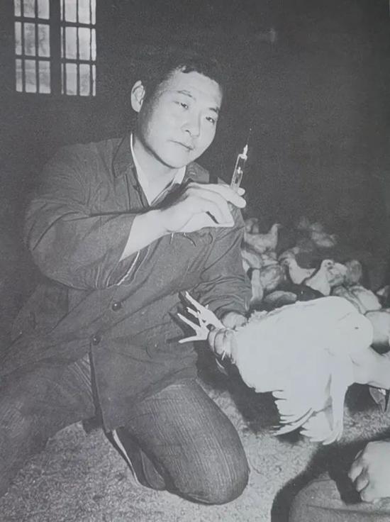 上海县鲁汇公社汇东七队养鸡专业户（摄于1984年5月31日）