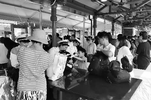 ■ 劳动报记者 叶佳琦 文/摄