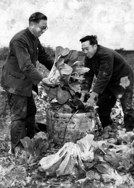 七一公社生产场景