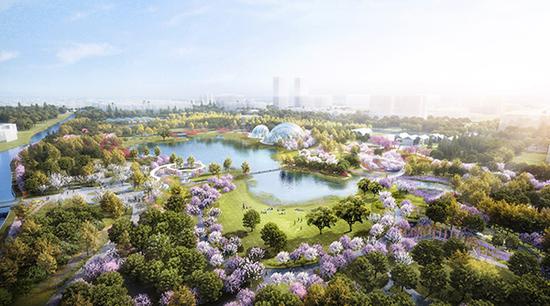 上海植物园北区效果图。 上海植物园 供图