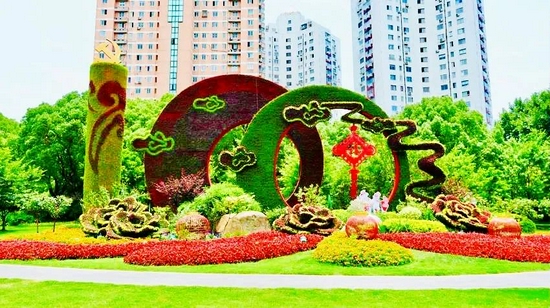 区政府对面