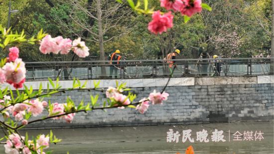 资料图:苏州河沿岸 新民晚报记者 孙中钦 摄