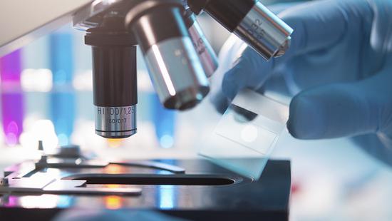 瑞金医院确认罕见罗阿丝虫病 患者身上似爬过千万只虫