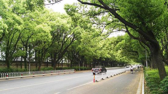 闵行一号路