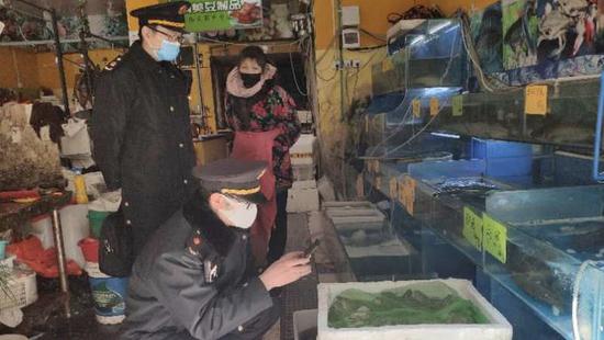 上海查处一起经营者违法交易野生动物案。 闵行区市场监管局 图