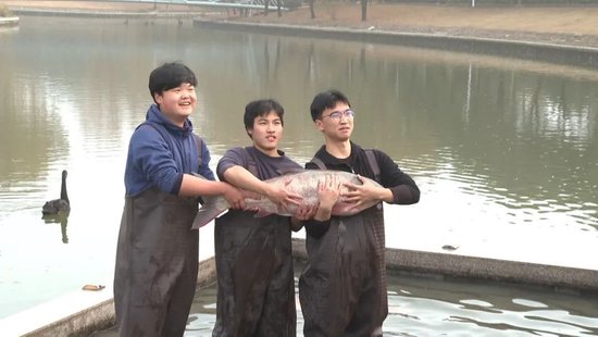 37.5公斤的鱼王 松江这所高校捕鱼400多公斤