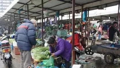 曹安市场是上海城市菜篮子的“摇篮”,是许多人淘平价菜的“低价洼地”。