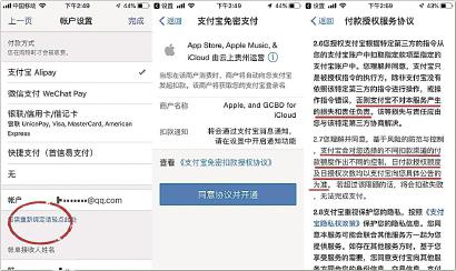 记者查看苹果支付宝免密支付操作,授权信息说明模糊。 车佳楠 摄